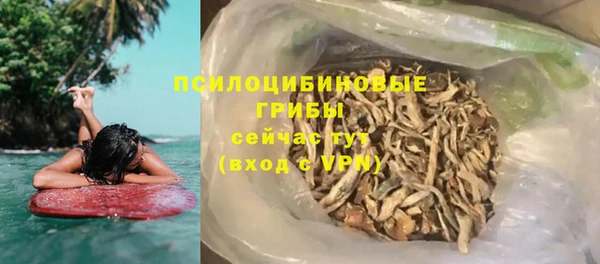стаф Богородск