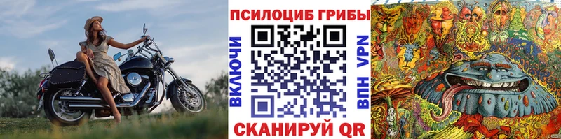 продажа наркотиков Короча Галлюциногенные грибы Magic Shrooms